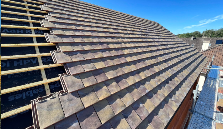 photo de couverture linas